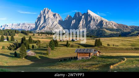 Blick auf die Seiser Alm, Seiser Alm, Südtirol im goldenen Abendlicht Stockfoto