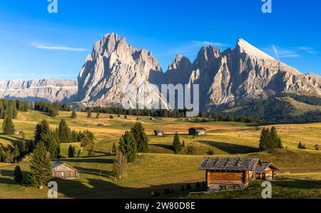 Blick auf die Seiser Alm, Seiser Alm, Südtirol im goldenen Abendlicht Stockfoto