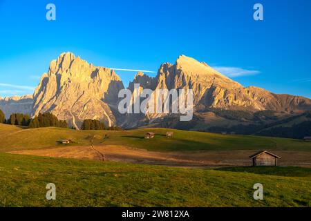 Blick auf die Seiser Alm, Seiser Alm, Südtirol im goldenen Abendlicht Stockfoto