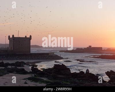 Menschen an einem felsigen Strand bei Sonnenuntergang neben dem Festungsturm mit Möwen über dem Dach in Essaouira, der „windigen Stadt“, Marokko. Dezember 2023 Stockfoto