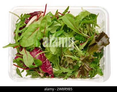 Mischung aus frischen Salatblättern in Kunststoffverpackung. Blick von oben Stockfoto