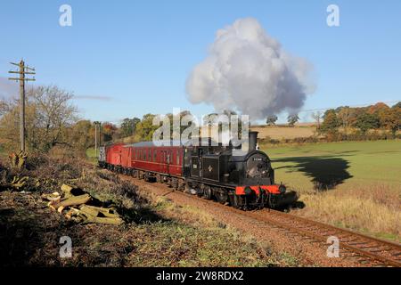 55260 nähert sich Birkhill auf der 5.11.23 während einer Fotocharter „in Search of Steam“. Stockfoto