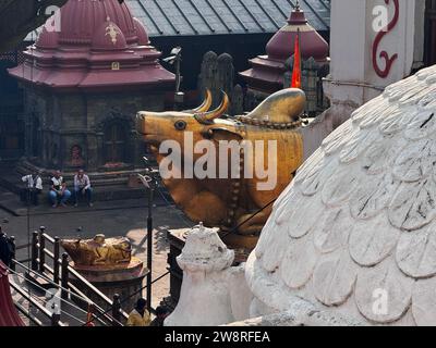 Der heilige Stier in Pashupatinath, einem Hindutempel in Kathmandu, Nepal Stockfoto