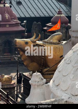 Der heilige Stier in Pashupatinath, einem Hindutempel in Kathmandu, Nepal Stockfoto