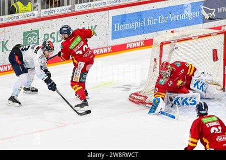 Eishockey DEL - Düsseldorfer EG vs ERC Ingolstadt am 21.12.2023 im PSD Bank Dome in Düsseldorf Save on Düsseldorfs Torhüter Henrik Haukeland ( Nr.40) gegen Ingolstadts Charles Bertrand ( Nr.33) Foto: Osnapix Stockfoto