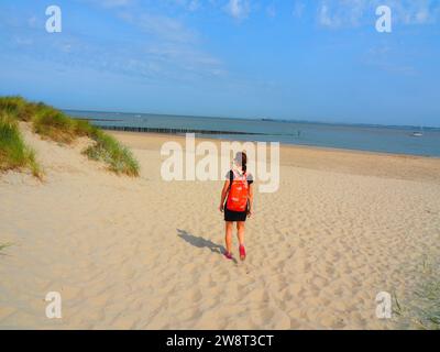 Das Beste von Zeeland, Nordsee - Niederlande, Holland Stockfoto