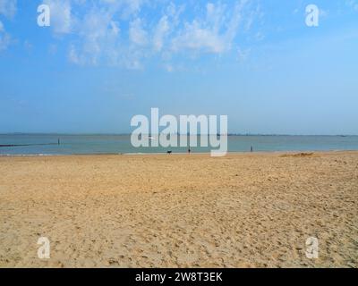 Das Beste von Zeeland, Nordsee - Niederlande, Holland Stockfoto