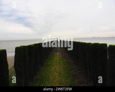 Das Beste von Zeeland, Nordsee - Niederlande, Holland Stockfoto