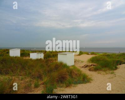 Das Beste von Zeeland, Nordsee - Niederlande, Holland Stockfoto