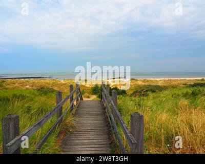 Das Beste von Zeeland, Nordsee - Niederlande, Holland Stockfoto