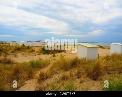 Das Beste von Zeeland, Nordsee - Niederlande, Holland Stockfoto