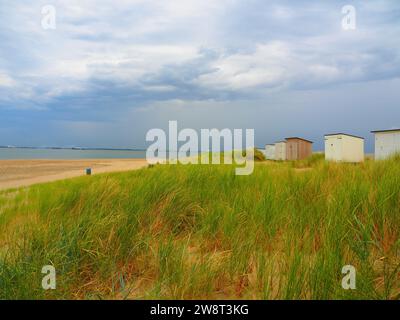 Das Beste von Zeeland, Nordsee - Niederlande, Holland Stockfoto