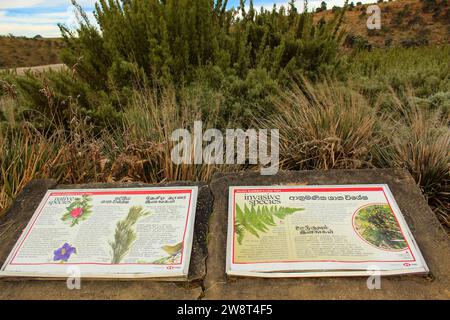 17. FEBRUAR 2020, HORTON PLAINS, SRI LANKA: Informationstabelle auf dem Wanderweg im Horton Plains National Park, Central Highlands von Sri Lanka. Hor Stockfoto