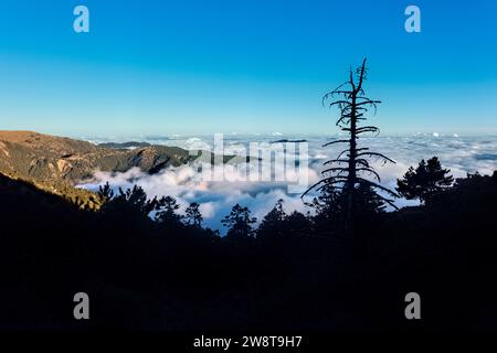 Wolkenmeer auf dem Weg zum Jiaming See, Taitung, Taiwan Stockfoto