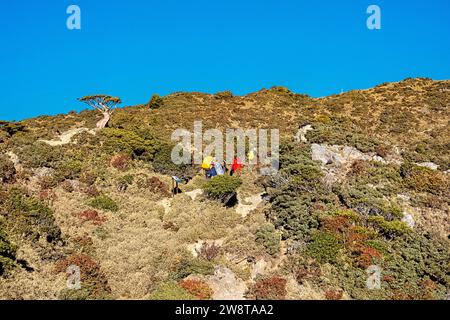 Trekking auf dem Jiaming Lake Trail, Taitung, Taiwan Stockfoto