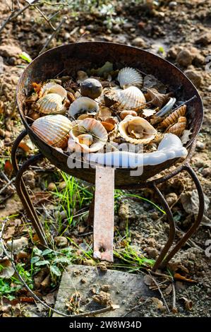 Ein alter rostiger Eisentopf mit antiken Muschelschalen, getrockneten Blättern und Waldnüssen. Darunter liegen trockene Blätter und Erde auf dem Boden. Stockfoto