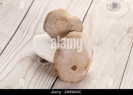 Zwei rohe Eringi-Pilze zum Kochen Stockfoto