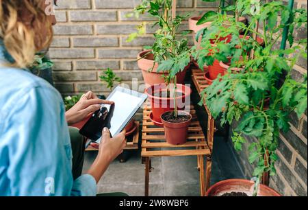 Frau, die ein digitales Tablet berührt, während sie die Pflanzen des urbanen Gartens auf der Terrasse pflegt Stockfoto