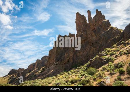 Zagged Rock Formationen im Succor Creek State Natural Area, Oregon Stockfoto