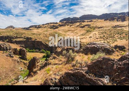 Zagged Rock Formationen im Succor Creek State Natural Area, Oregon Stockfoto