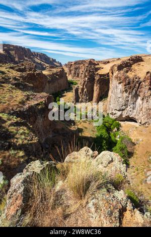 Zagged Rock Formationen im Succor Creek State Natural Area, Oregon Stockfoto