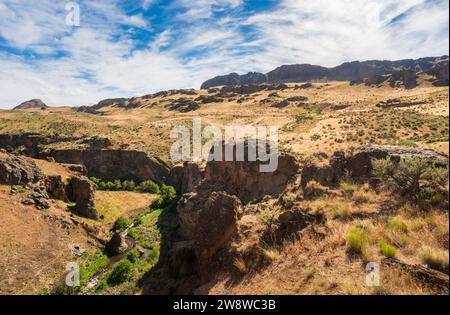 Zagged Rock Formationen im Succor Creek State Natural Area, Oregon Stockfoto