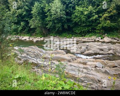 Ein Waldfluss im Bieszczady-Gebirge, es gibt Steine am Ufer. Stockfoto