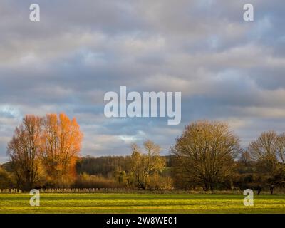 Sonnenuntergang, Abbey Meadows, Abingdon-on-Thames, Oxfordshire, England, GROSSBRITANNIEN, GB. Stockfoto