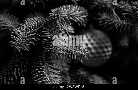 Schwarz-weiße Kiefer weihnachtsbaum Flusen Nadeln Zweig nah oben mit weißer Kugel Dekoration Stockfoto