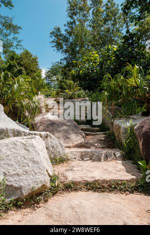 Steintreppe Aufstieg Wanderweg Stockfoto