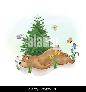 Aquarellbär. Illustration für Kinder. Schlafender Bär im Wald mit Blumen und Schmetterlingen. Handzeichnung. Stockfoto