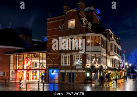 Swan London – Eine Bar/Restaurant am Riverside, verbunden mit Shakespeare's Globe Theatre, Bankside, London, Großbritannien Stockfoto