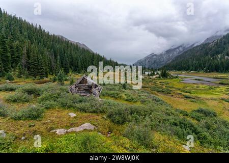 Alte Bergarbeiterhütte in der Holy Cross Wilderness, Colorado Stockfoto