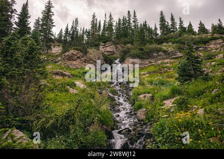 Wasserfall in der James Peak Wilderness, Colorado Stockfoto