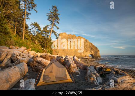 Zelt am Strand in der Nähe von Hole in the Wall, Olympic National Park Stockfoto