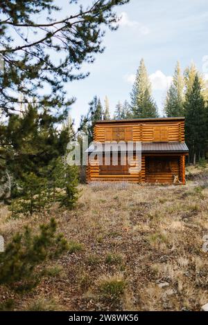 Abgeschiedene Blockhütte in den Wäldern von Stanley, Idaho Stockfoto