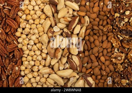 Draufsicht verschiedener Nutensorten Stockfoto