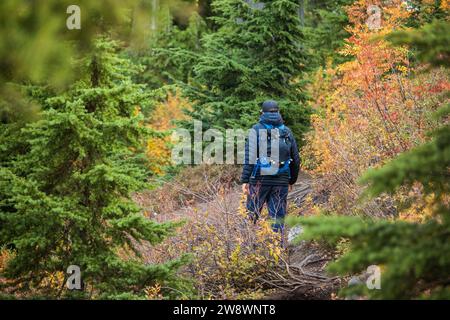 Rückansicht des aktiven Mannwanderns in den Bergen während der Herbstsaison. Stockfoto