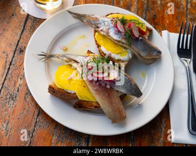 Das traditionelle Gericht der niederländischen Küche ist Haring Stockfoto
