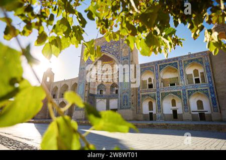 Wunderschöner Blick auf das Wahrzeichen der Außenmadrasah von Abdulaziz Khan, eingerahmt von grünen Blättern in der Altstadt von Bokhara, Usbekistan Stockfoto