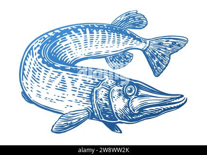 Der große Hecht schwimmt. Raubfische im Wasser. Handgezeichnete Wassertier-Vektor-Illustration Stock Vektor