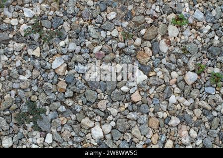 Ein Boden aus kleinen farbigen Steinen mit einigen Kräutern aus der Nähe Stockfoto