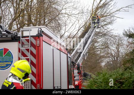 22. Dezember 2023, Mecklenburg-Vorpommern, Altefähr: Feuerwehrleute der Freiwilligen Feuerwehren Stralsund und Altefähr räumen einen gefallenen Baum in Gustrowerhöfen bei Altefähr. Allein im Landkreis Vorpommern-Rügen musste die Feuerwehr aufgrund von Sturmschäden auf Dutzende von Ausrufen reagieren. Der Deutsche Wetterdienst warnte bis Freitag vor Sturmwinden – vor allem an der Küste westlich von Rostock bis Vorpommern. Foto: Stefan sauer/dpa Stockfoto