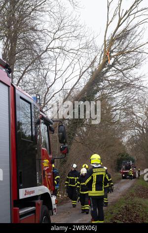 22. Dezember 2023, Mecklenburg-Vorpommern, Altefähr: Feuerwehrleute der Freiwilligen Feuerwehren Stralsund und Altefähr räumen einen gefallenen Baum in Gustrowerhöfen bei Altefähr. Allein im Landkreis Vorpommern-Rügen musste die Feuerwehr aufgrund von Sturmschäden auf Dutzende von Ausrufen reagieren. Der Deutsche Wetterdienst warnte bis Freitag vor Sturmwinden – vor allem an der Küste westlich von Rostock bis Vorpommern. Foto: Stefan sauer/dpa Stockfoto