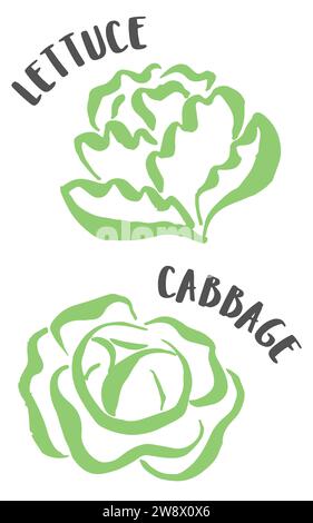 Kohl- und Salatzeichnung handgemalt mit Tintenpinsel isoliert auf weißem Hintergrund. Vektorabbildung Stock Vektor