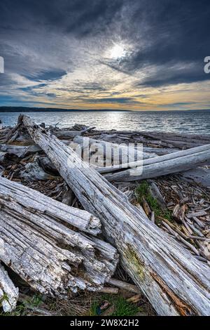 Driftwood Park auf Whidbey Island, WA Stockfoto