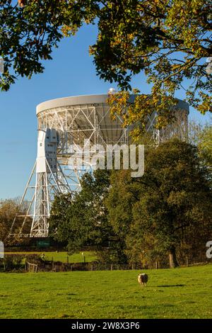 Großbritannien, England, Kechsen, Goostrey, University of Manchester, Jodrell Bank, Lovell Radio Telescope und umliegende Ackerflächen im Herbst Stockfoto