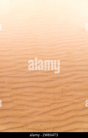 Goldene Sandstruktur mit gewellten Mustern in sanftem Sonnenlicht Stockfoto