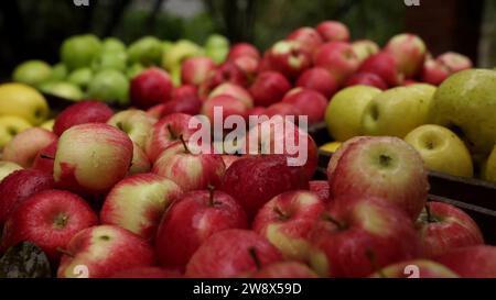 Foto von frischen grünen und roten Äpfeln, die zum Verzehr bereit sind Stockfoto