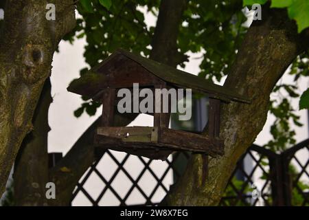 Traditioneller rustikaler hölzerner Vogelhäuschen zwischen dicken Ästen eines Baumes in einem Garten in Polen installiert Stockfoto